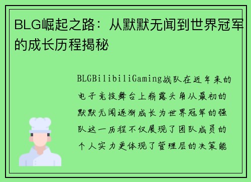 BLG崛起之路：从默默无闻到世界冠军的成长历程揭秘